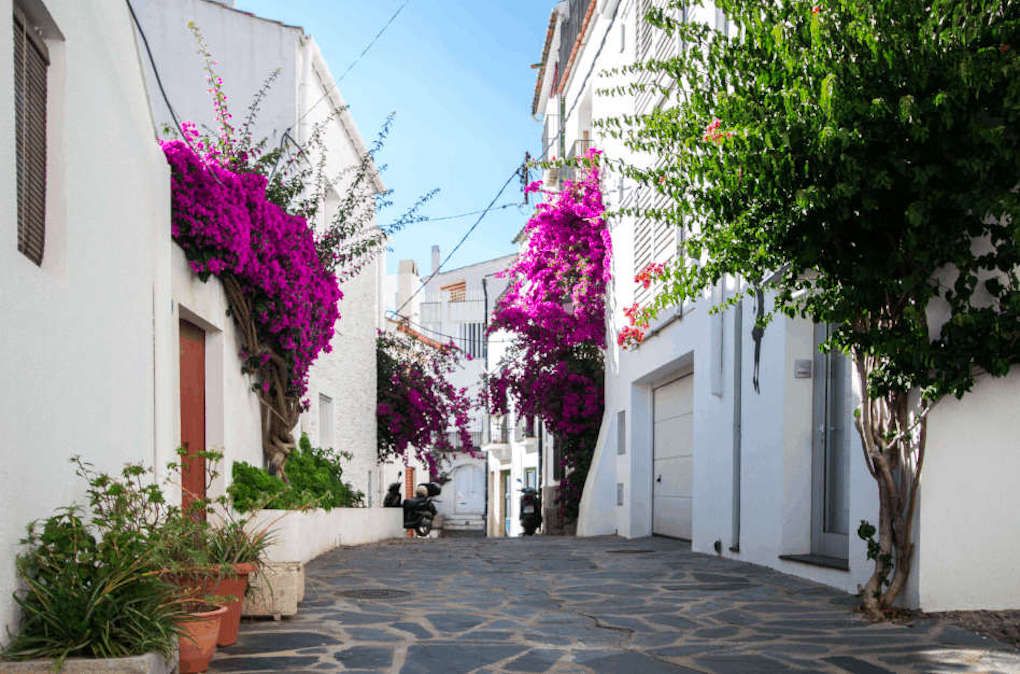 a8bac28b601f8b47a021e4fc1d64e59cbf0d629b