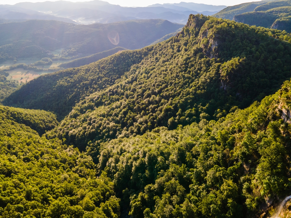 Spring,Landscape,In,La,Vall,D,En,Bas,,La,Garrotxa,